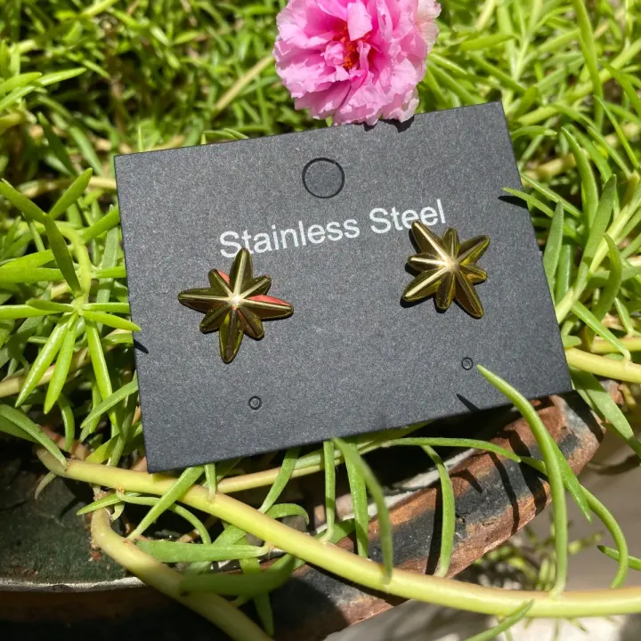 Stainless Steel Star Studs